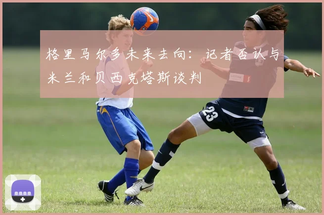 格里马尔多未来去向：记者否认与米兰和贝西克塔斯谈判