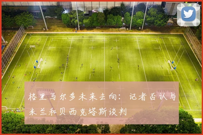 格里马尔多未来去向：记者否认与米兰和贝西克塔斯谈判