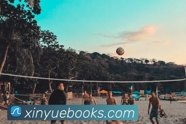互动解说服务